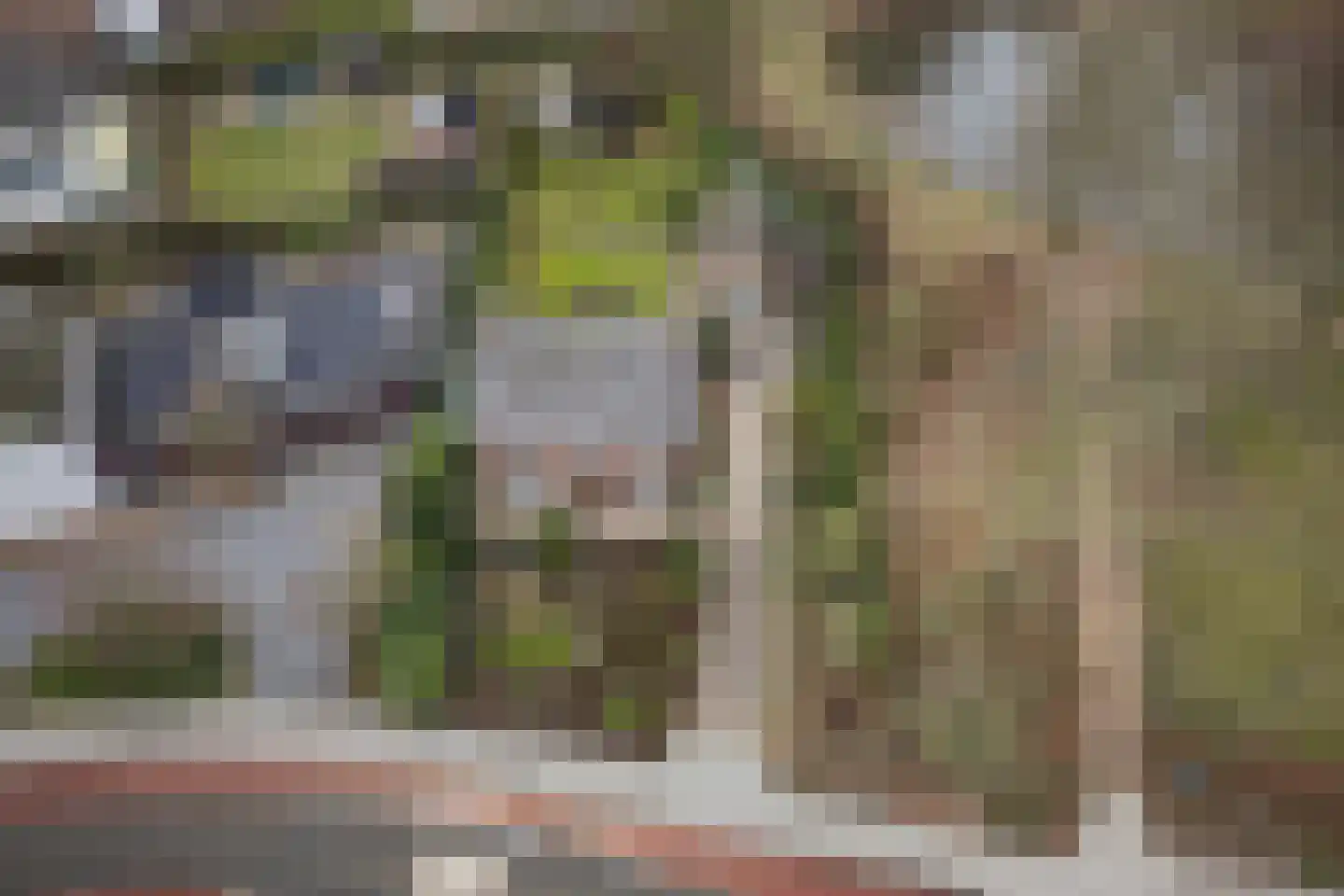 Zandstraat 1 Berlicum thumbnail 30