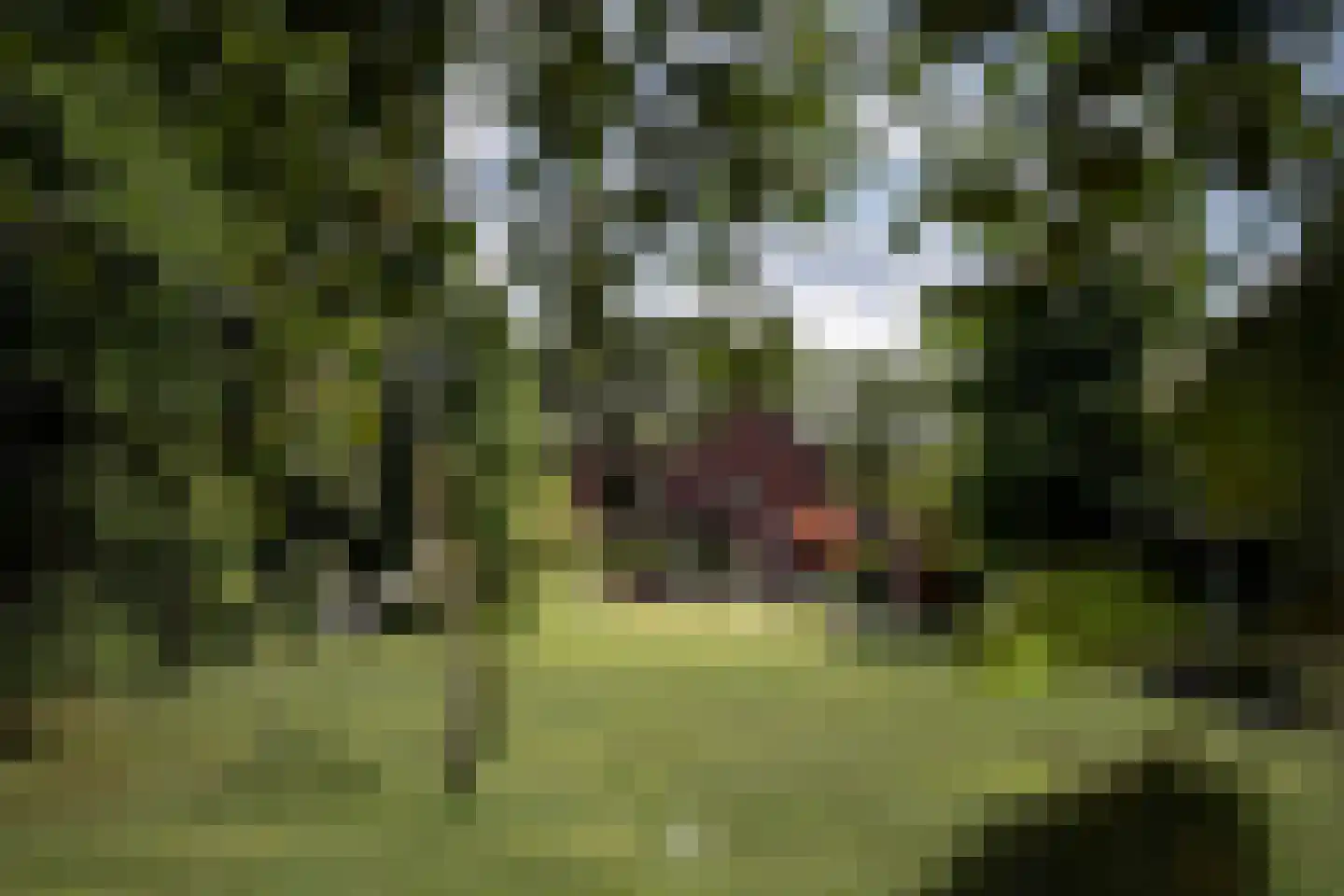Zandstraat 10 Vinkeveen thumbnail 25