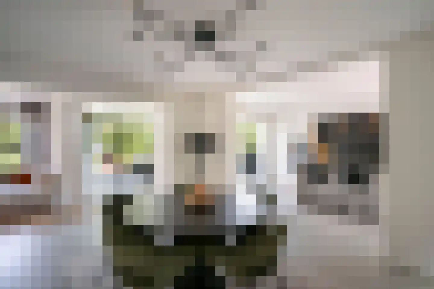 Zandstraat 10 Vinkeveen thumbnail 6