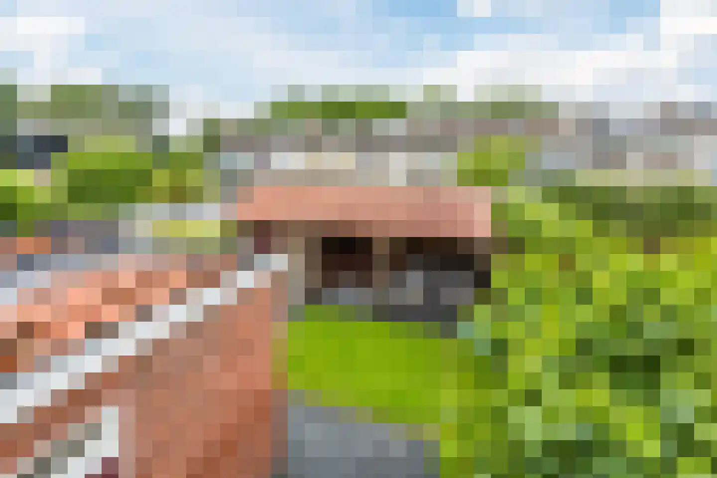 Zandstraat 107 Bergen op Zoom thumbnail 30