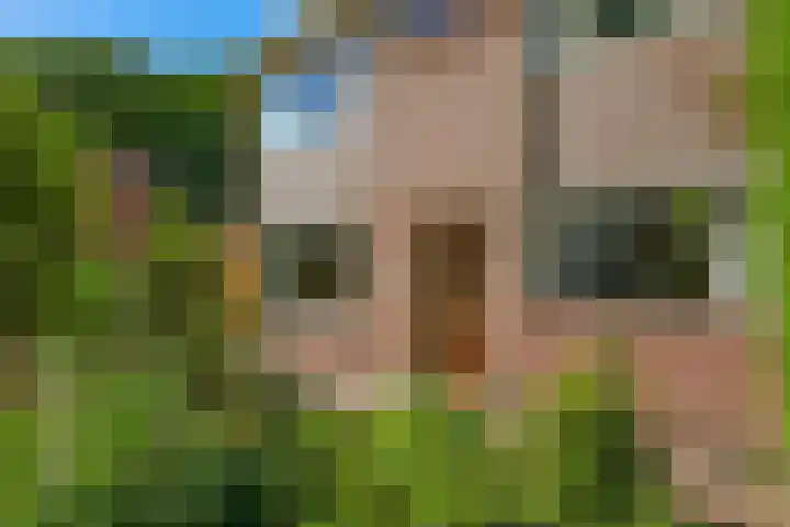 Zandstraat 11 Doetinchem thumbnail 8
