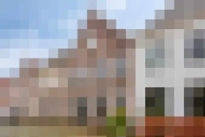 Zandstraat 11 Zaltbommel thumbnail 36