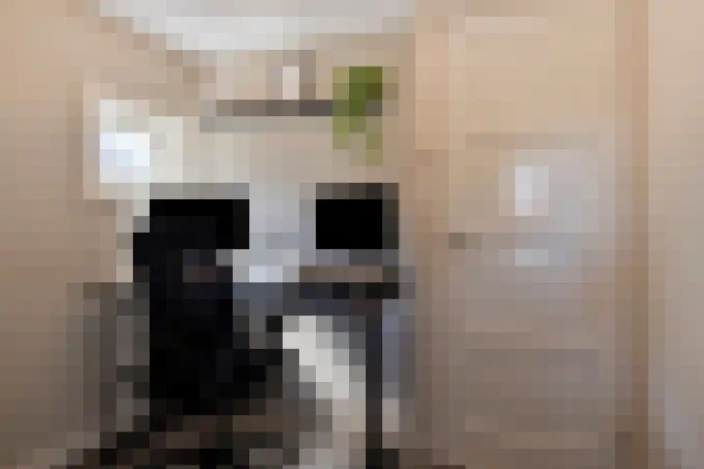 Zandstraat 111 Bergen op Zoom thumbnail 31