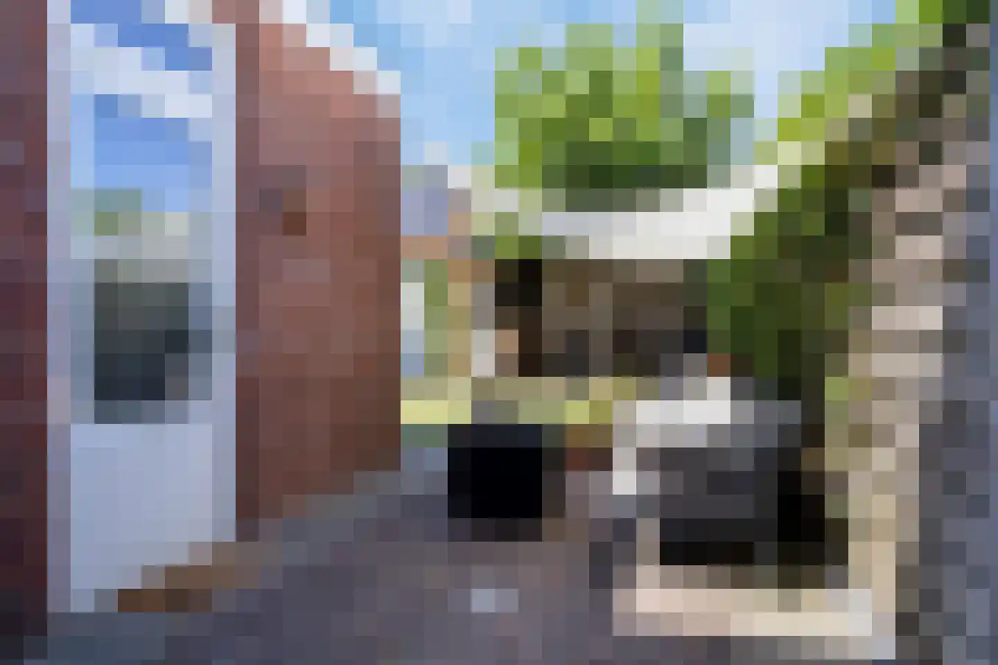 Zandstraat 111 Bergen op Zoom thumbnail 34