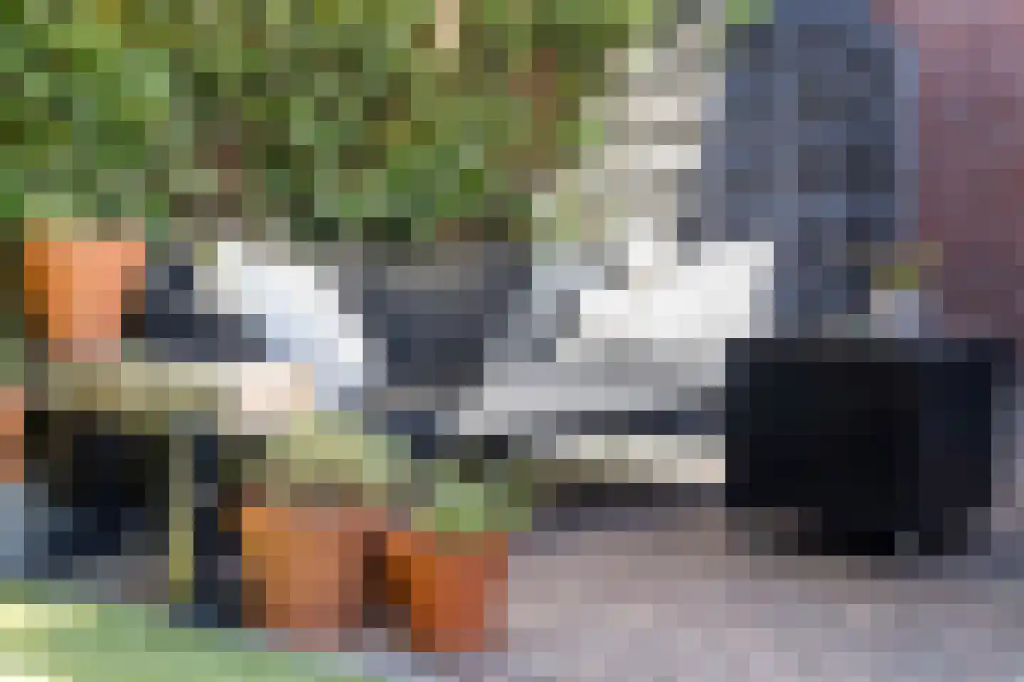 Zandstraat 111 Bergen op Zoom thumbnail 36