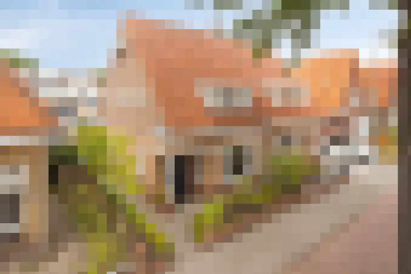 Zandstraat 111 Bergen op Zoom thumbnail 46