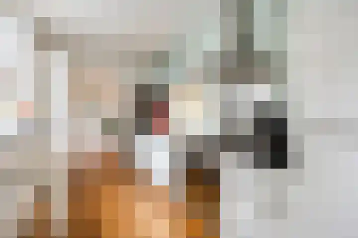 Zandstraat 12 Eindhoven thumbnail 10