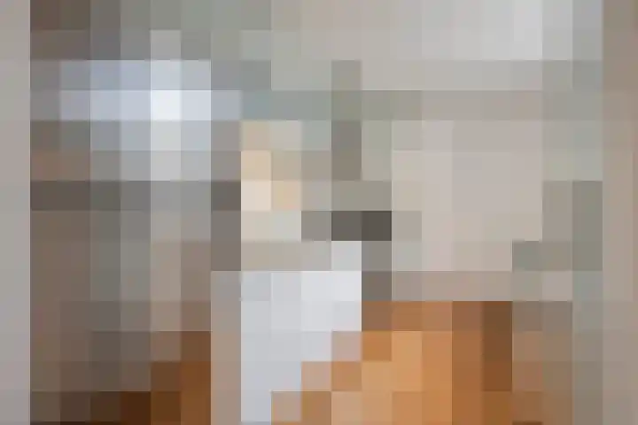 Zandstraat 12 Eindhoven thumbnail 11