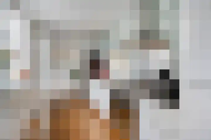 Zandstraat 12 Eindhoven thumbnail 16