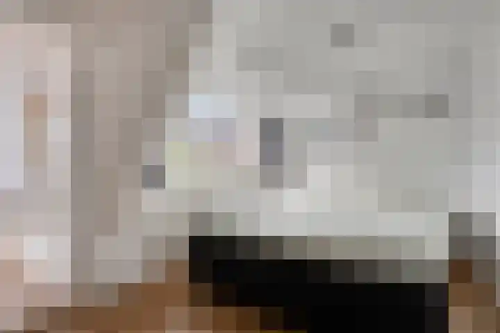 Zandstraat 12 Eindhoven thumbnail 20