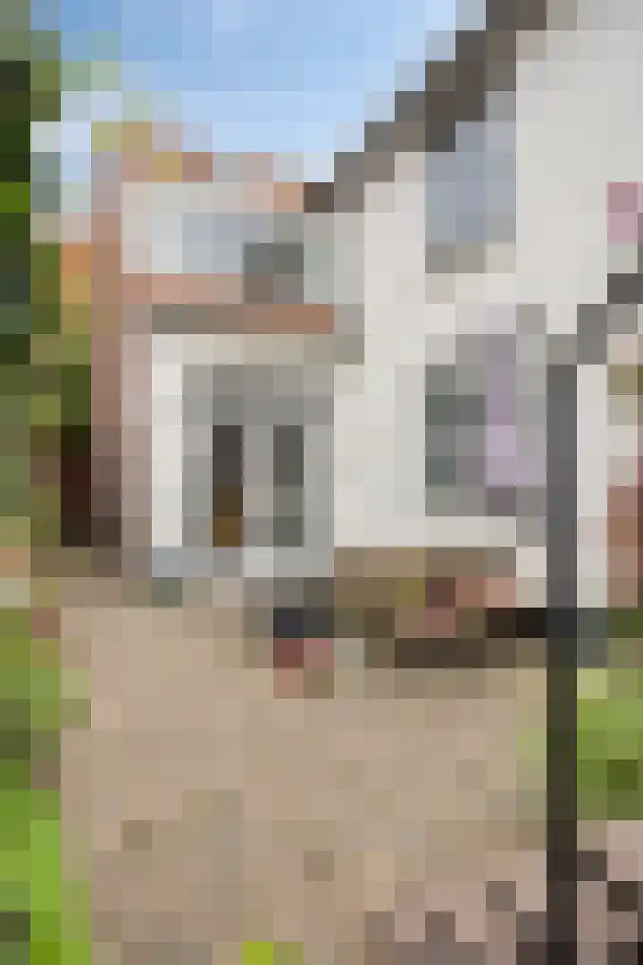 Zandstraat 12 Eindhoven thumbnail 32