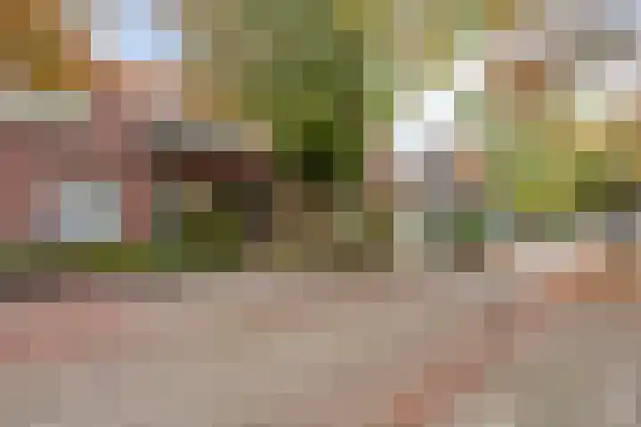 Zandstraat 12 Eindhoven thumbnail 34