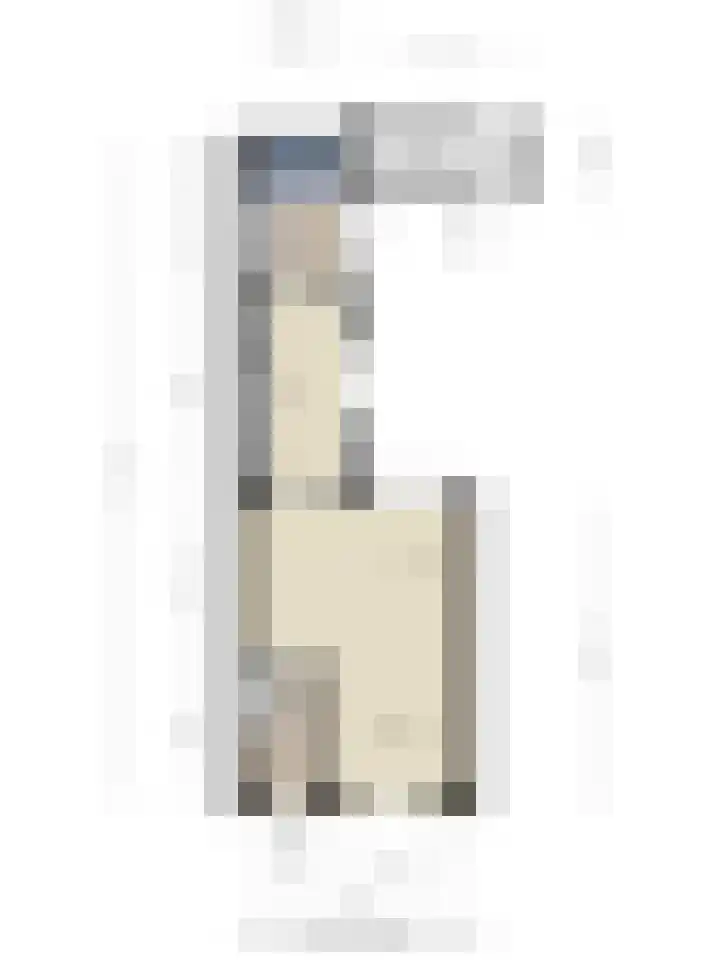 Zandstraat 12 Eindhoven thumbnail 38