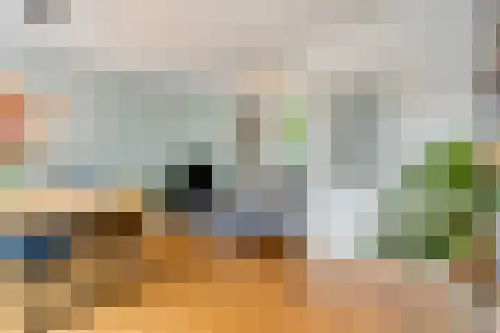 Zandstraat 12 Eindhoven thumbnail 5