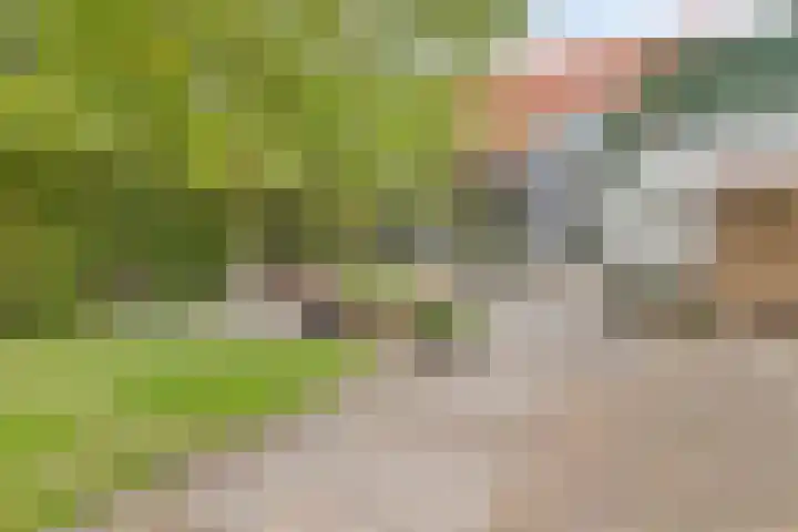 Zandstraat 12 Zaltbommel thumbnail 33