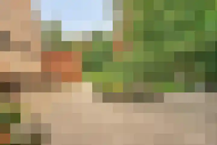 Zandstraat 12 Zaltbommel thumbnail 35