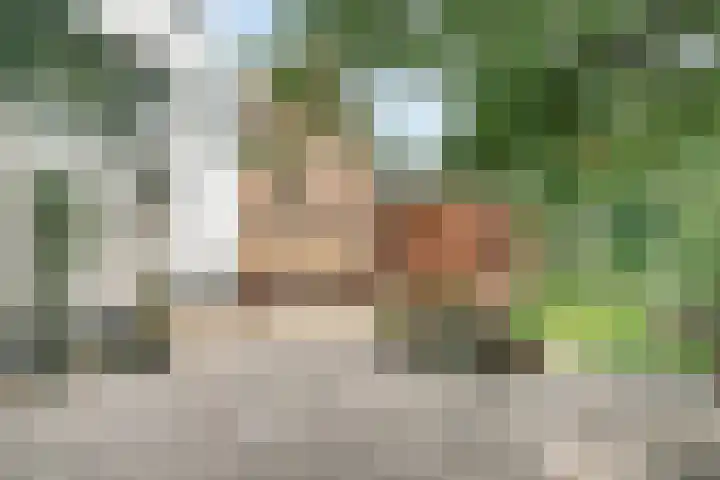 Zandstraat 12 Zaltbommel thumbnail 36