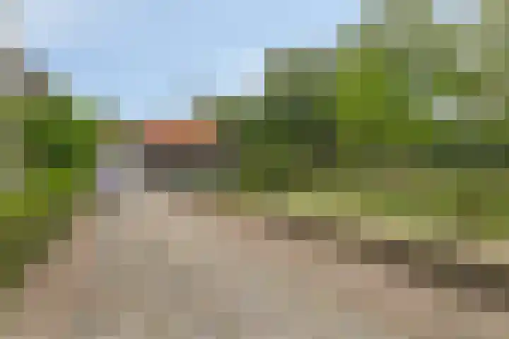 Zandstraat 12 Zaltbommel thumbnail 43