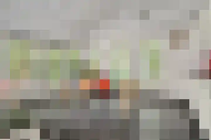 Zandstraat 12 Zaltbommel thumbnail 6