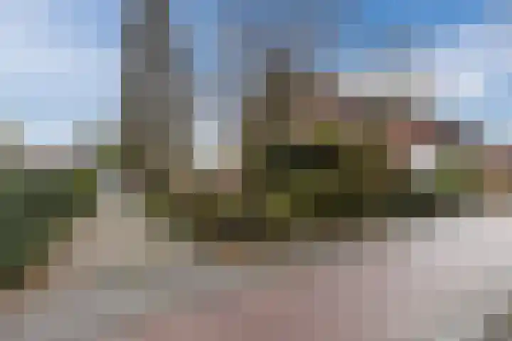 Zandstraat 120 Bergen op Zoom thumbnail 45