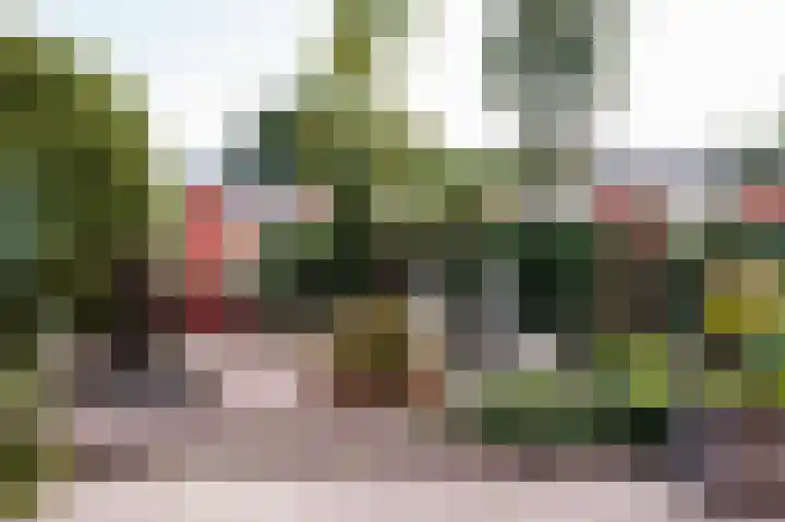 Zandstraat 120 Bergen op Zoom thumbnail 62