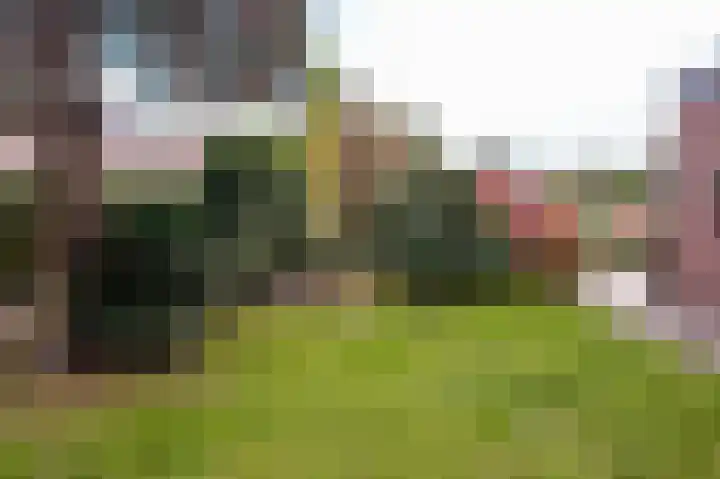 Zandstraat 120 Bergen op Zoom thumbnail 65