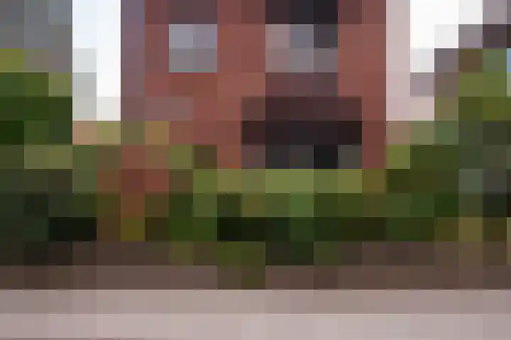 Zandstraat 120 Bergen op Zoom thumbnail 68