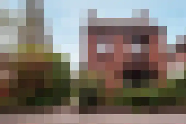 Zandstraat 120 Bergen op Zoom thumbnail 76