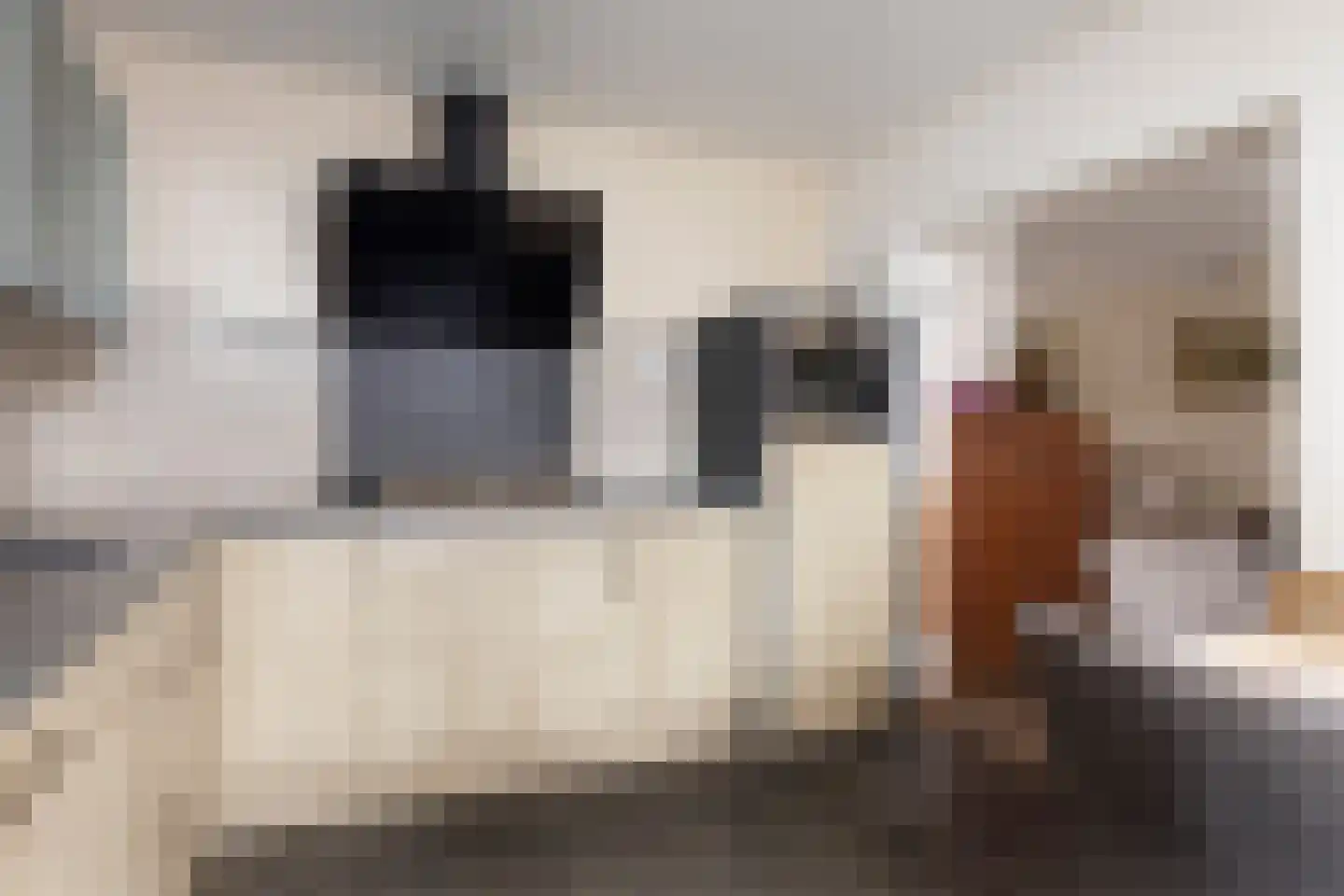 Zandstraat 121 Sas van Gent thumbnail 11