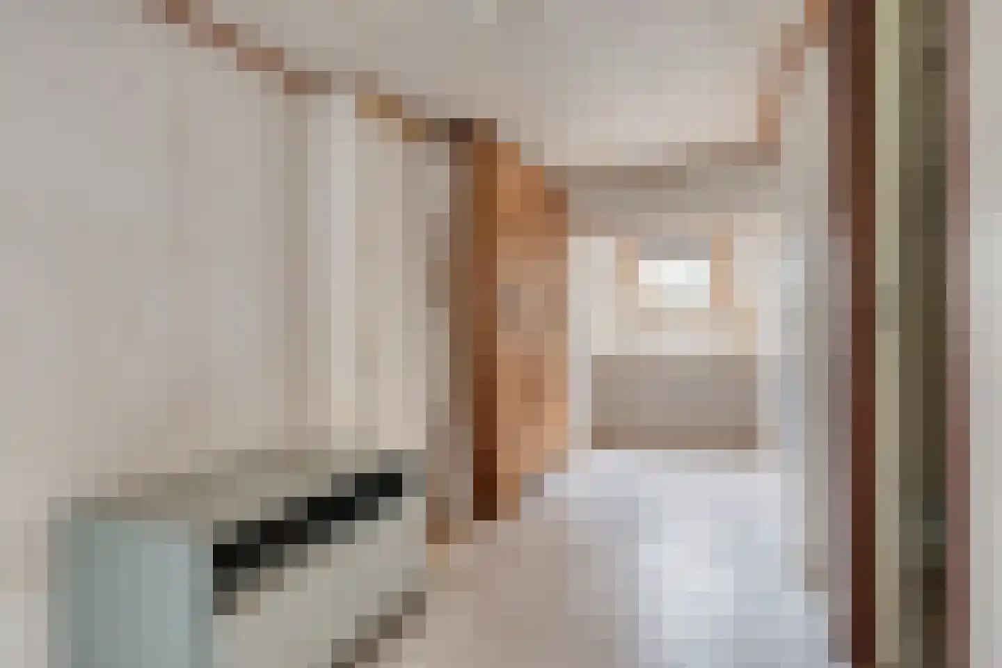 Zandstraat 121 Sas van Gent thumbnail 19