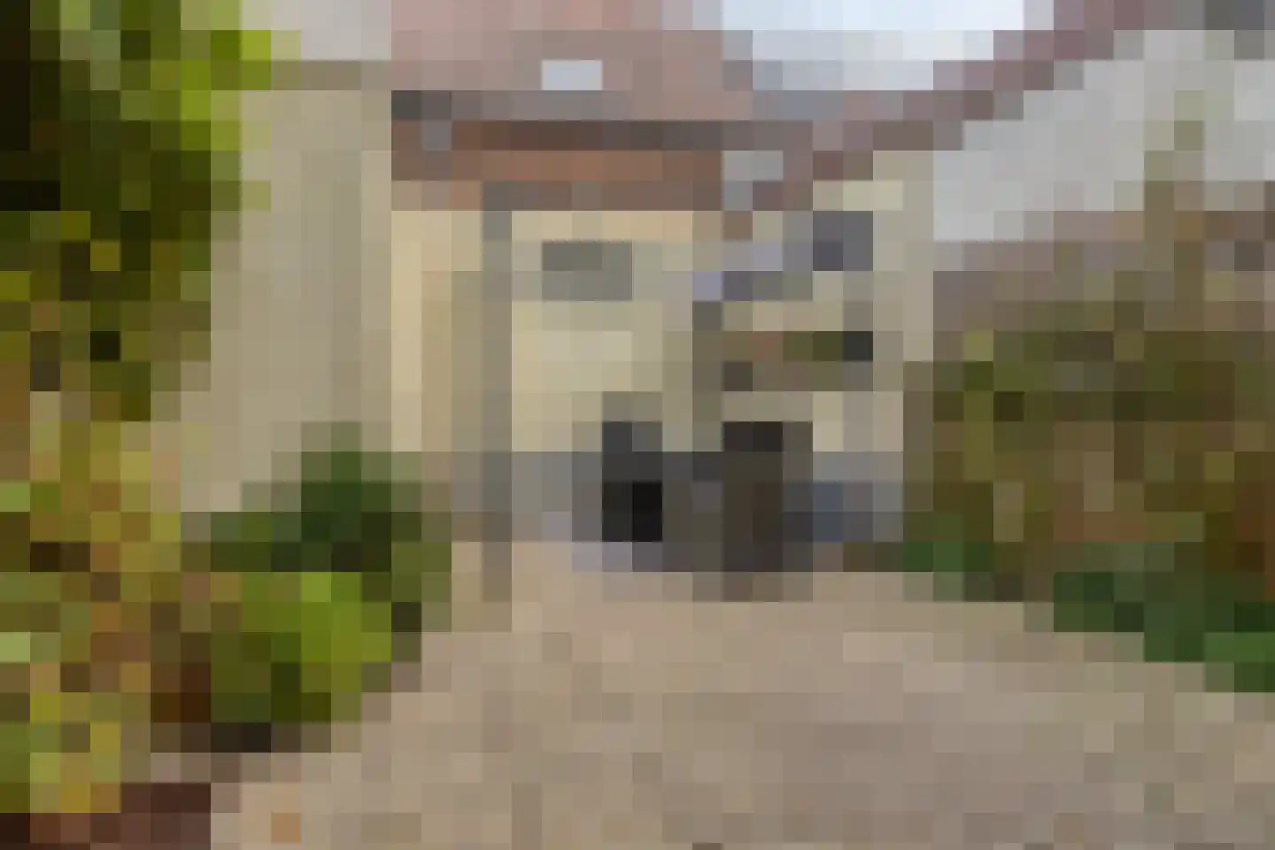 Zandstraat 121 Sas van Gent thumbnail 22