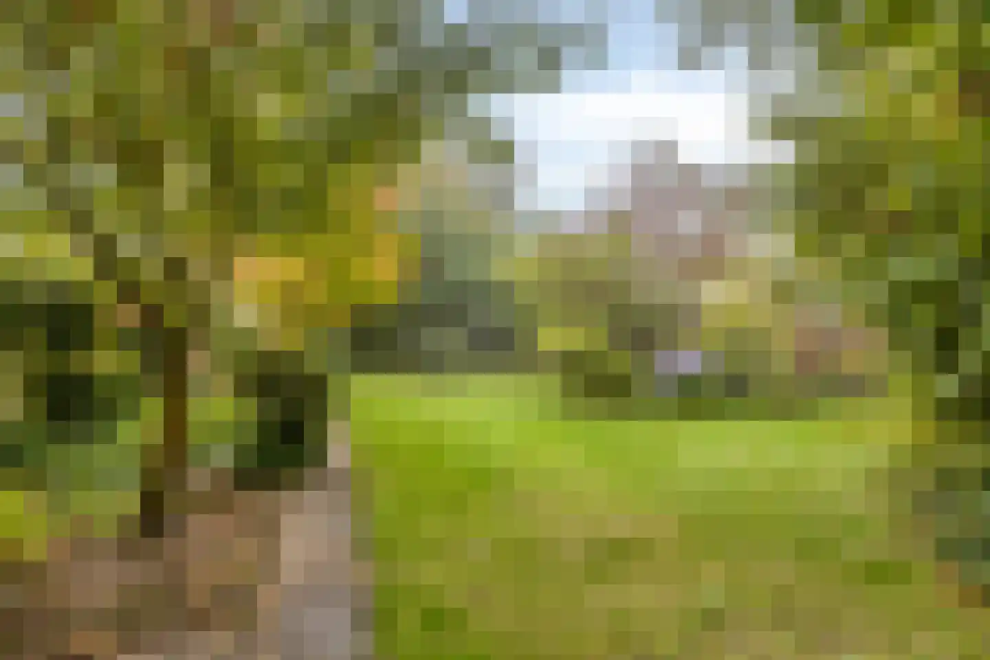 Zandstraat 121 Sas van Gent thumbnail 24