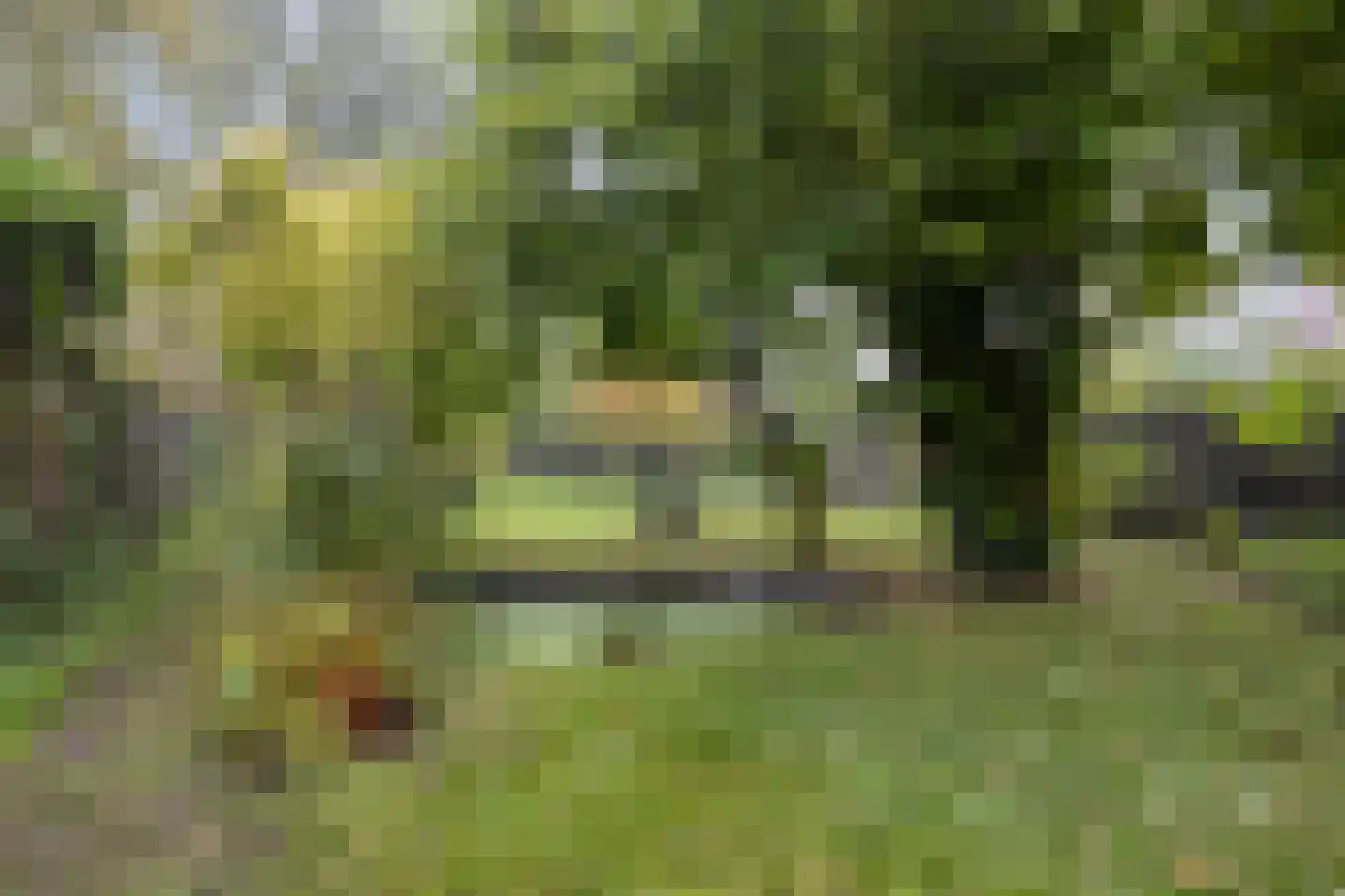Zandstraat 121 Sas van Gent thumbnail 26