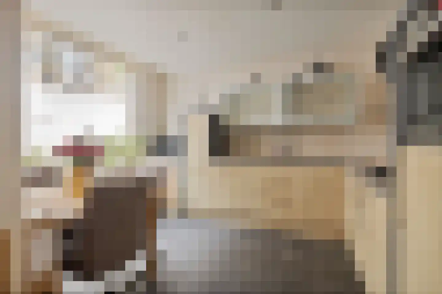 Zandstraat 121 Sas van Gent thumbnail 4