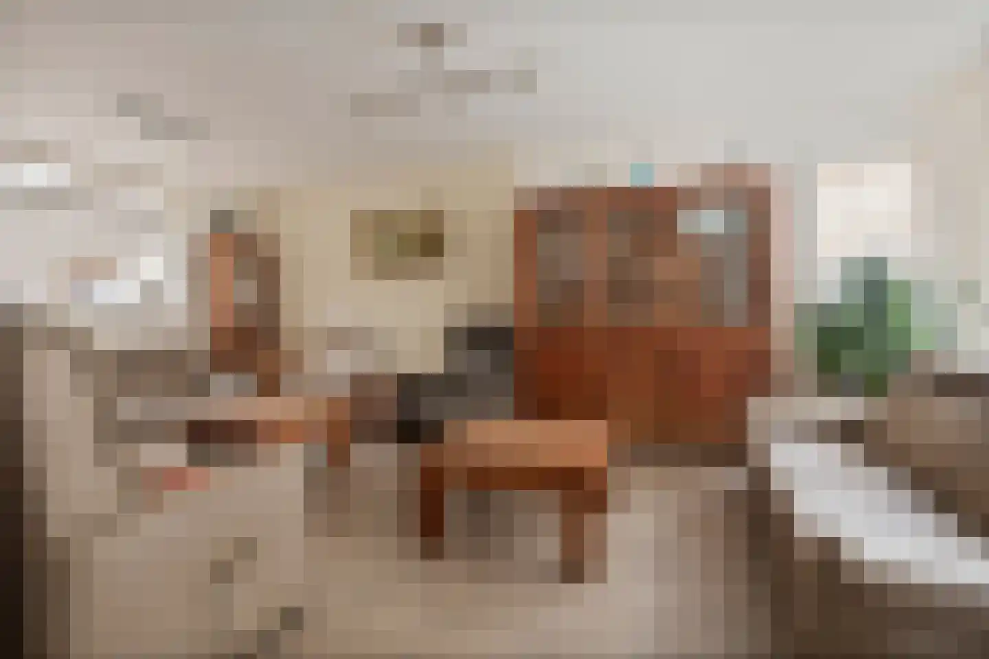 Zandstraat 121 Sas van Gent thumbnail 7
