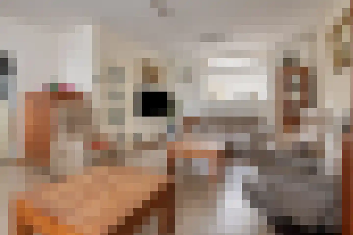 Zandstraat 121 Sas van Gent thumbnail 9