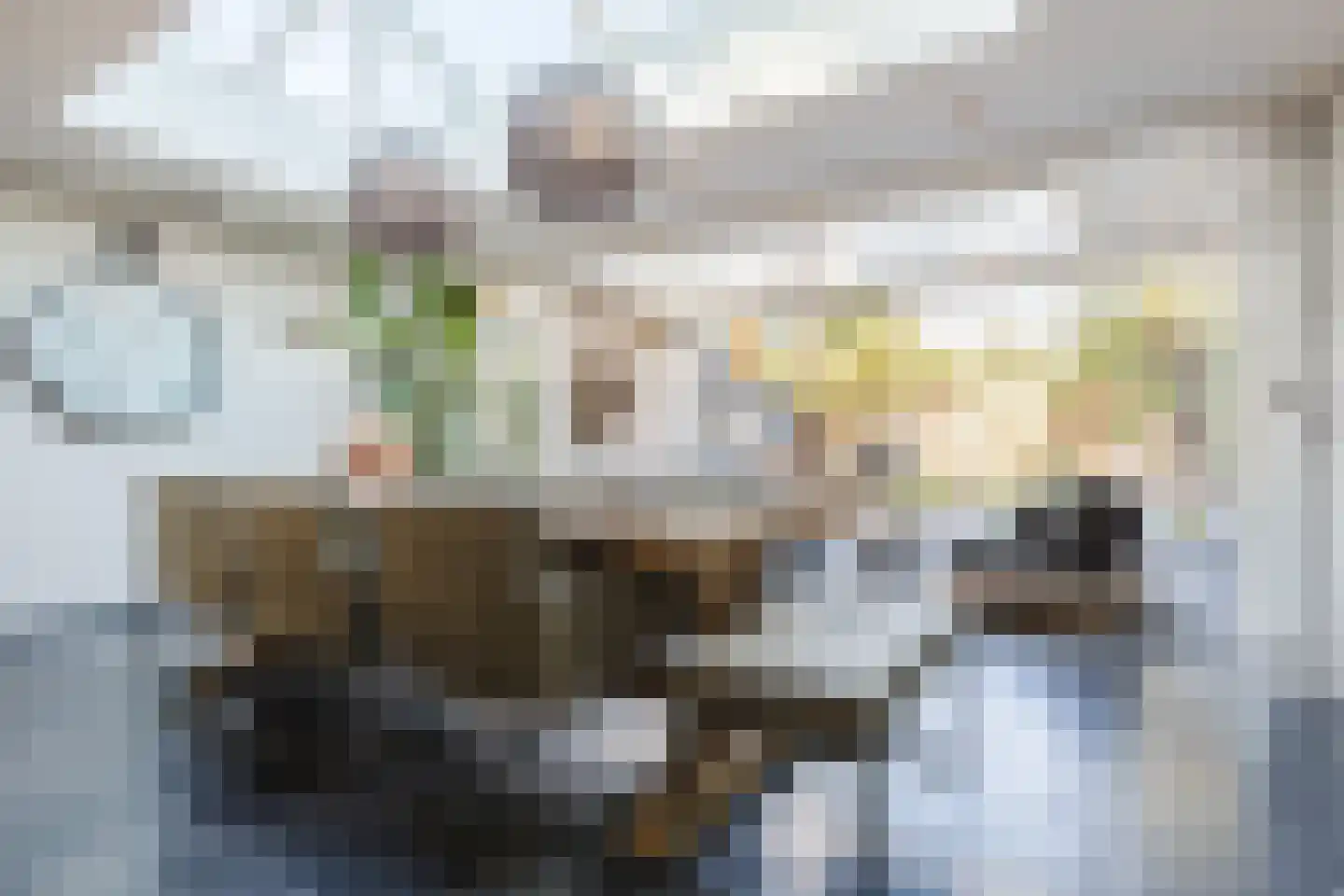 Zandstraat 139 Bergen op Zoom thumbnail 15