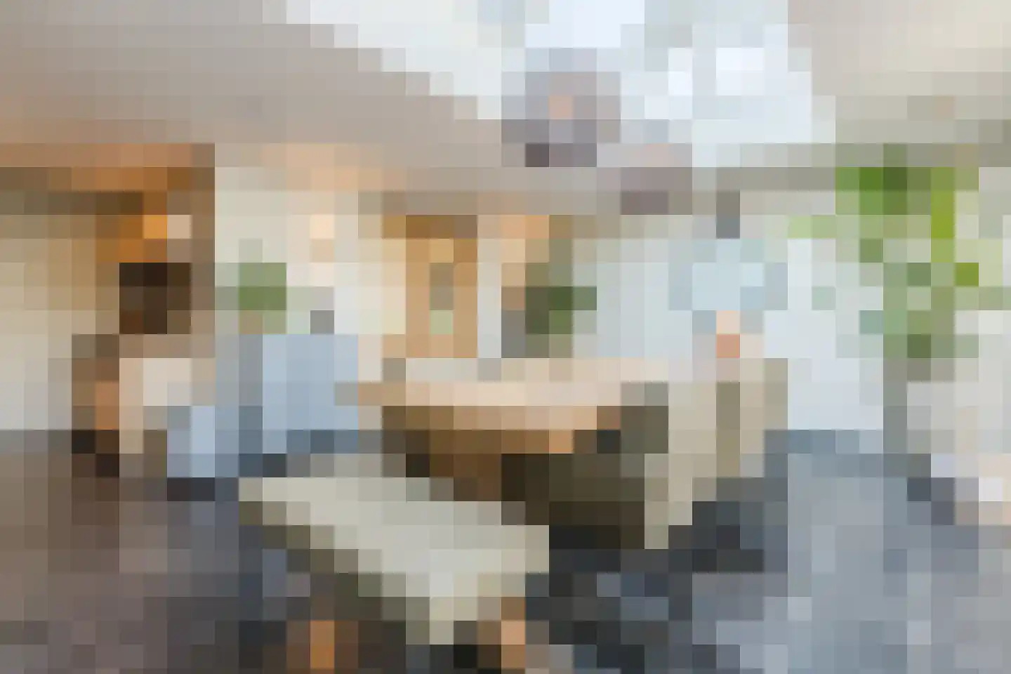 Zandstraat 139 Bergen op Zoom thumbnail 17