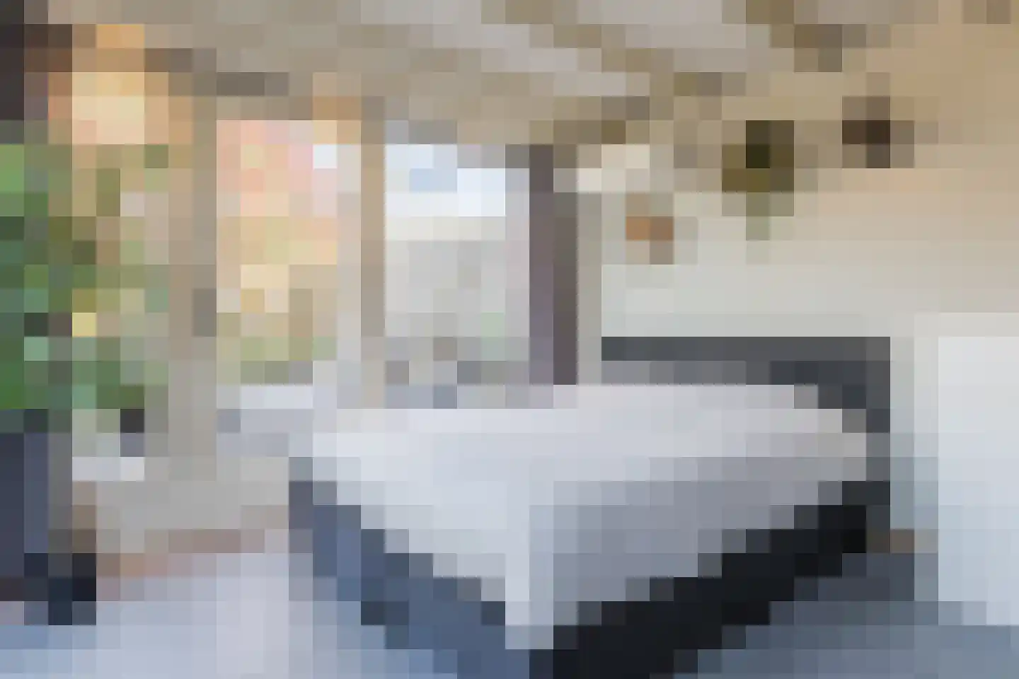 Zandstraat 139 Bergen op Zoom thumbnail 24