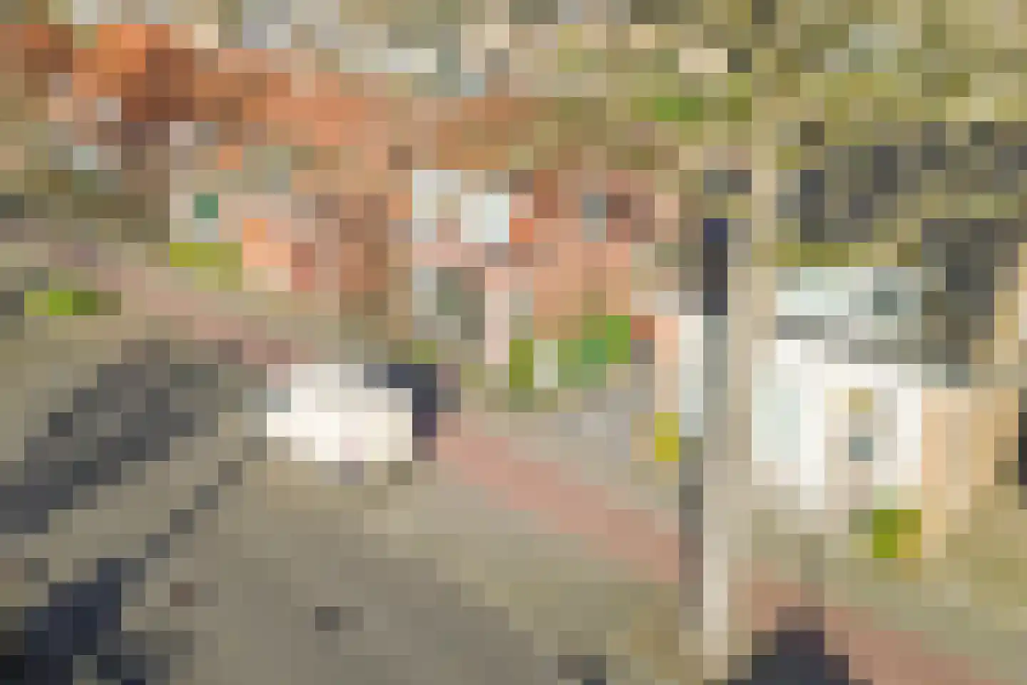 Zandstraat 139 Bergen op Zoom thumbnail 51