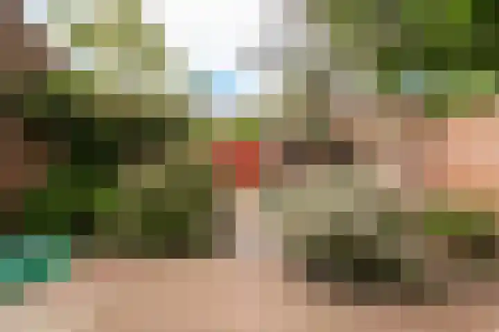 Zandstraat 15 Culemborg thumbnail 24