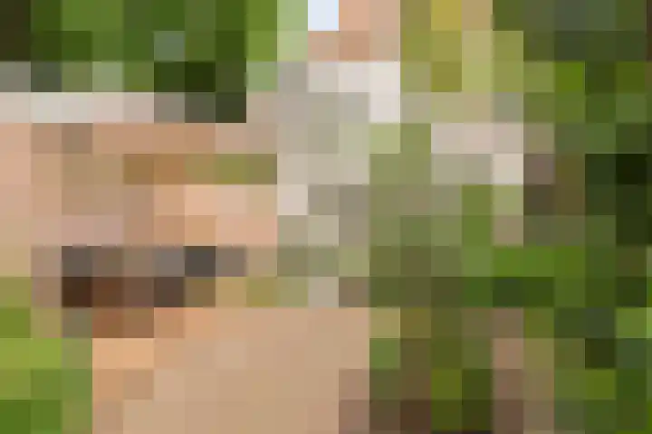 Zandstraat 15 Culemborg thumbnail 26