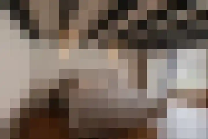 Zandstraat 15 Culemborg thumbnail 37