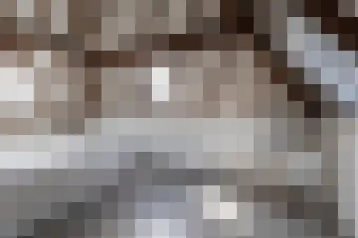 Zandstraat 15 Culemborg thumbnail 63