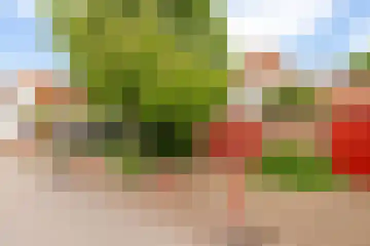 Zandstraat 15 Culemborg thumbnail 65