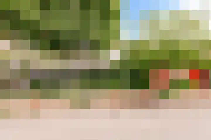 Zandstraat 15 Culemborg thumbnail 66