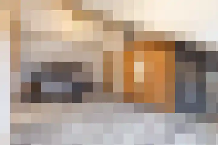 Zandstraat 15 Hooge Zwaluwe thumbnail 25