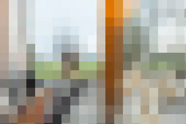Zandstraat 15 Hooge Zwaluwe thumbnail 29