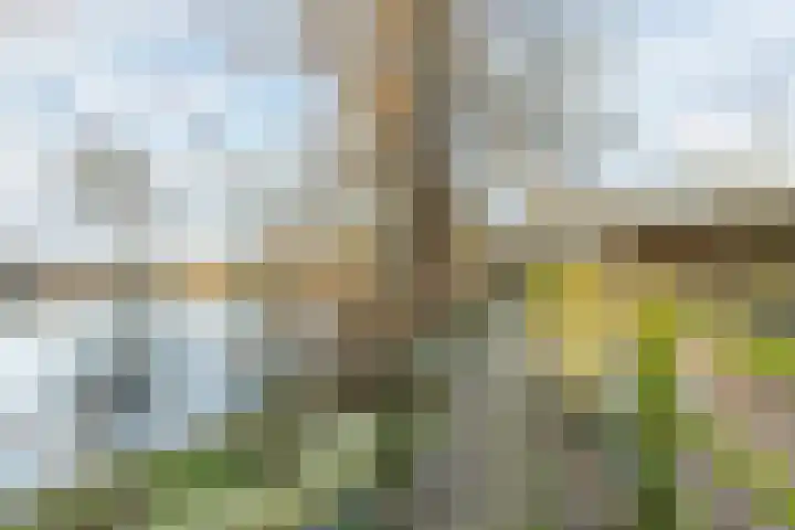 Zandstraat 15 Hooge Zwaluwe thumbnail 46