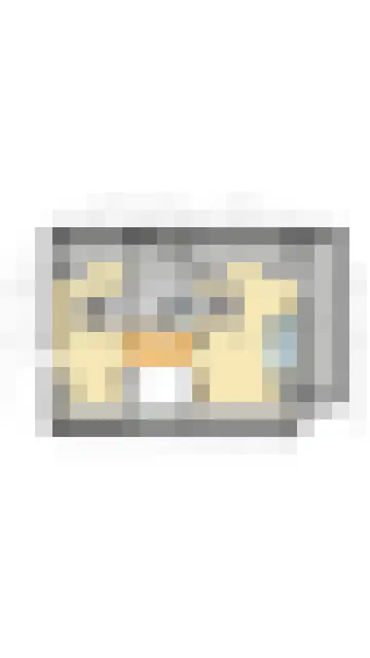 Zandstraat 15 Hooge Zwaluwe thumbnail 52